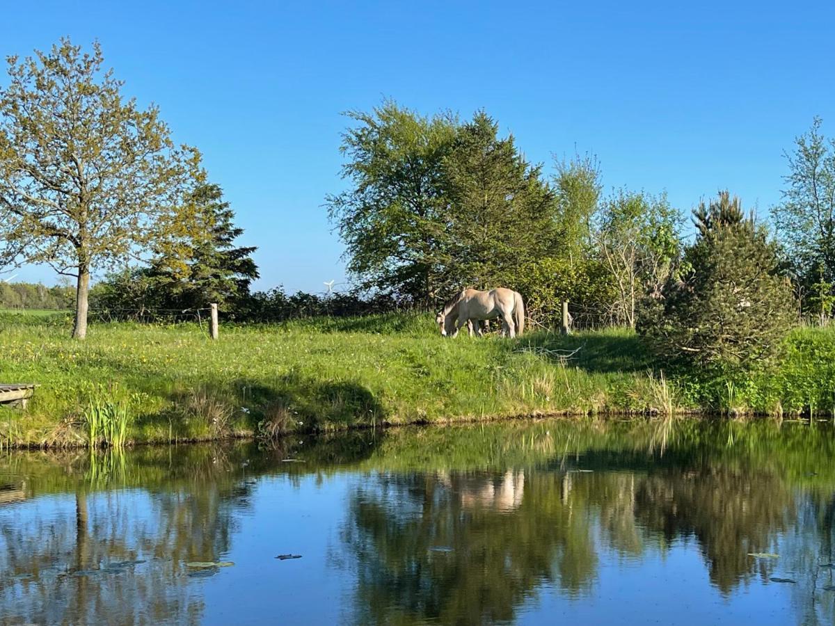Vestjysk Naturcamping - Fjordviking Ringkøbing Eksteriør bilde